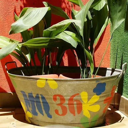 Mq 36 Bilo Center 